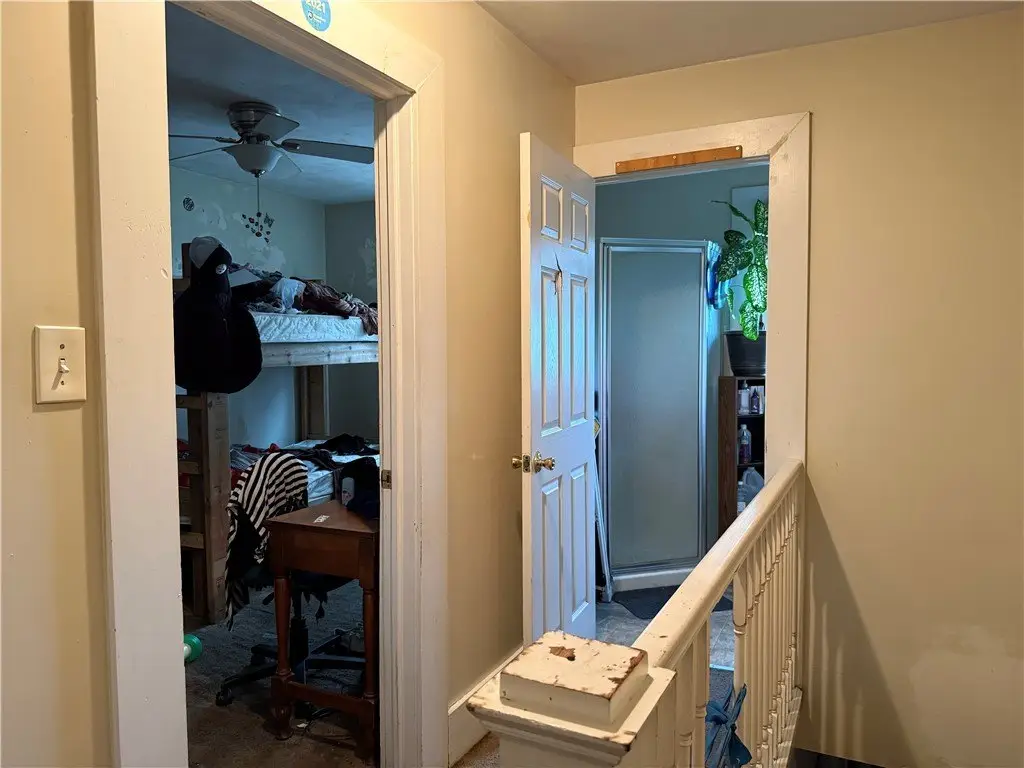 Picture 15