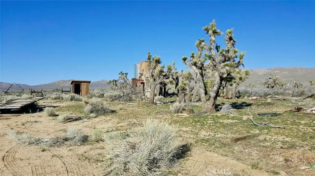 Picture 3