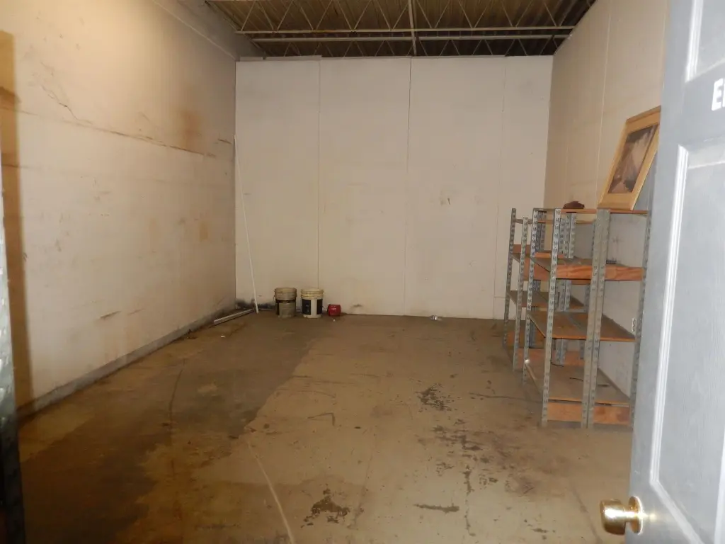 Picture 5
