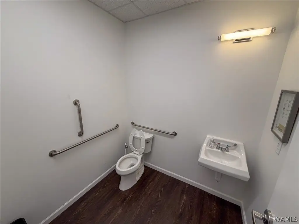 Picture 14