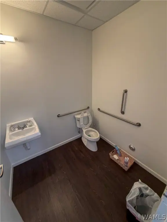 Picture 42