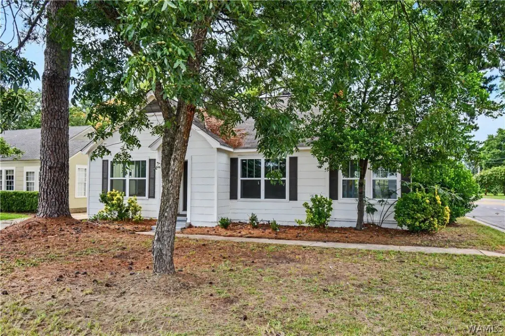 Picture 3