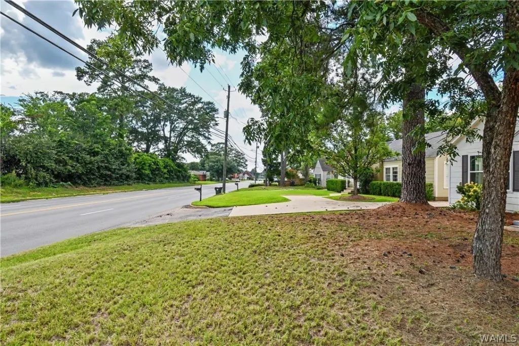 Picture 24