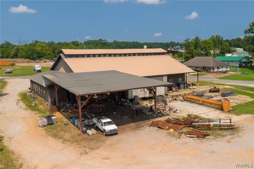 Picture 5