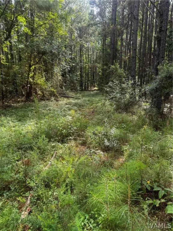 Picture 13