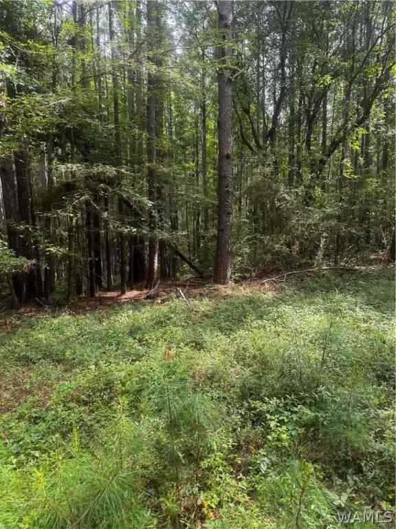 Picture 12