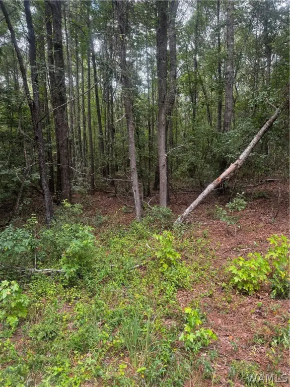 Picture 9
