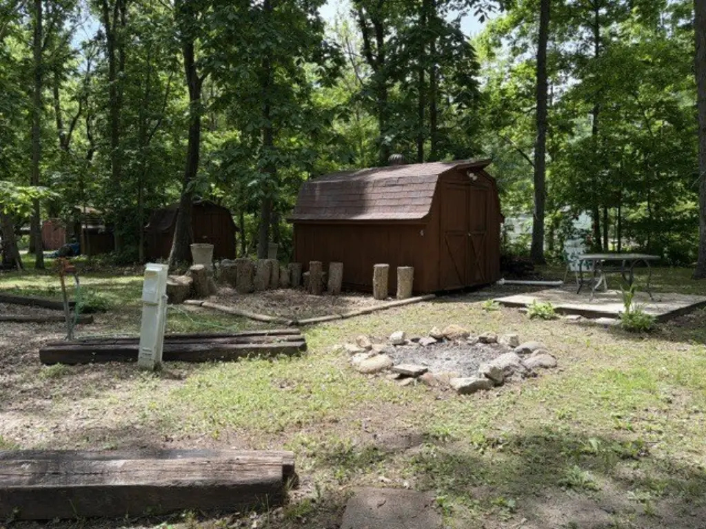 Picture 4
