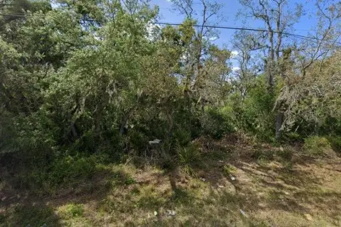 Vacant Lot in Sebring, FL