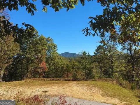 Warne, NC Land with Views