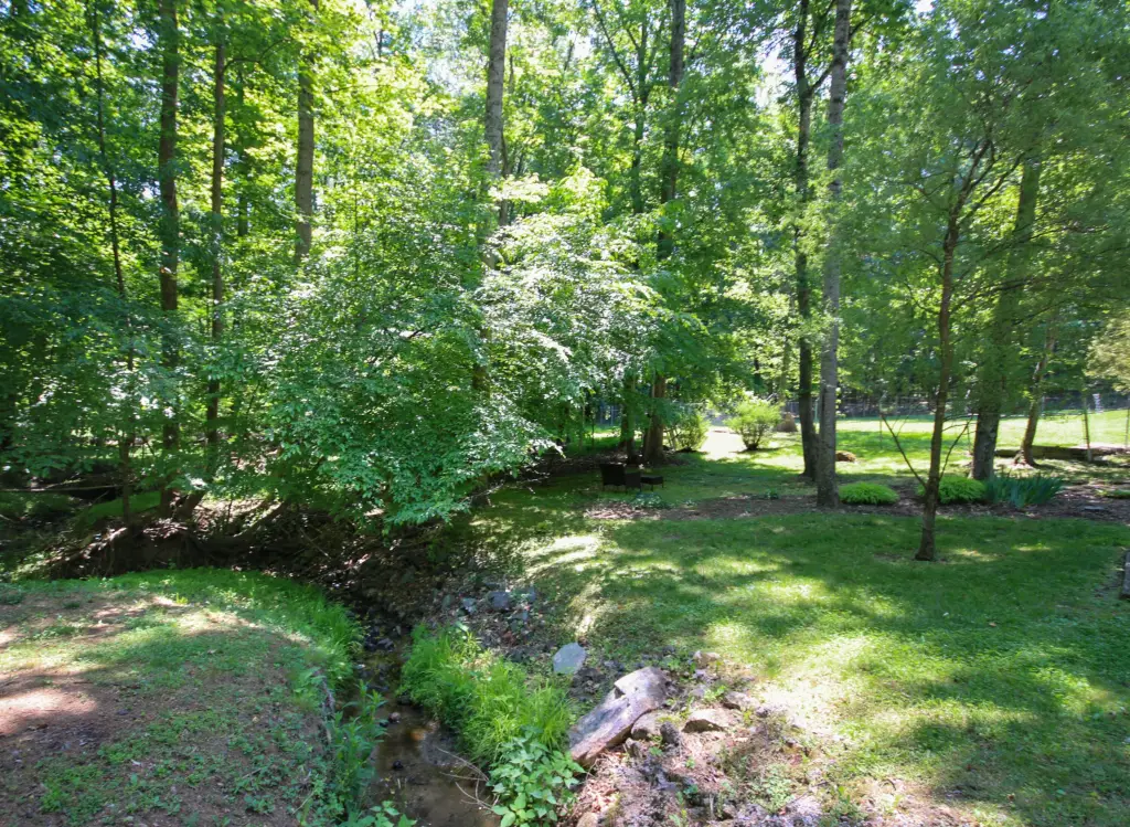 Picture 41