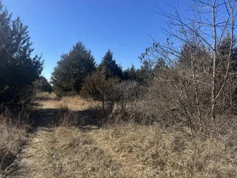 68 Acres Near Stockton Lake