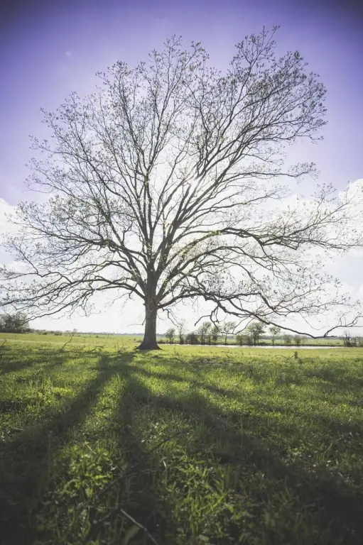 Picture 34