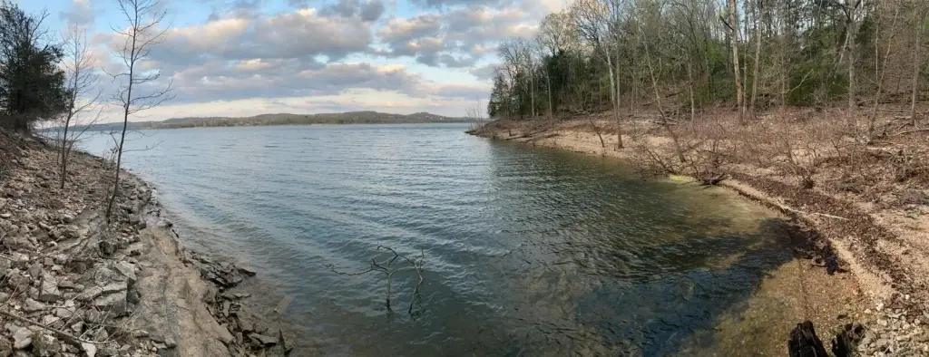 Picture 42