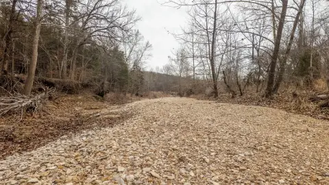 Wooded Acres Near Gainesville, Missouri
