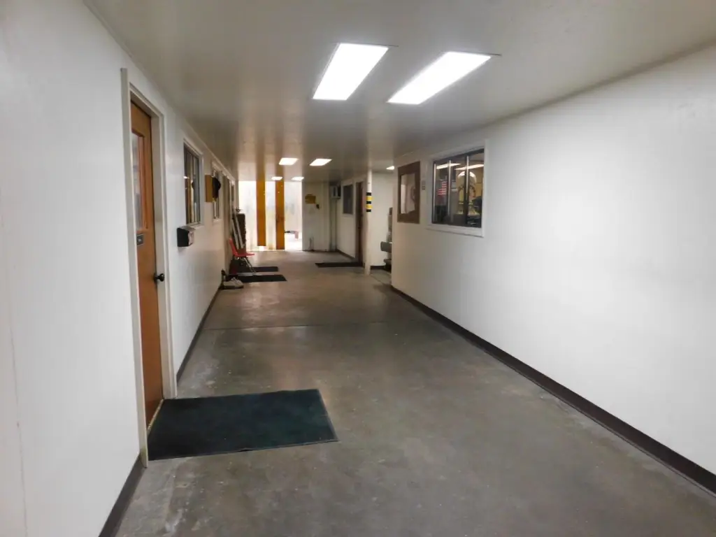 Picture 8