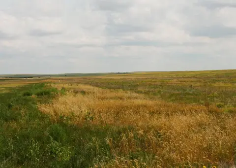 Agricultural Land with CRP
