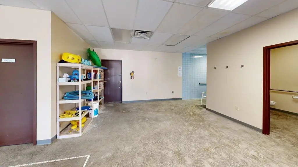 Picture 19