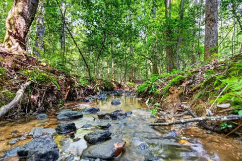 Waterfront Land with Creek Frontage