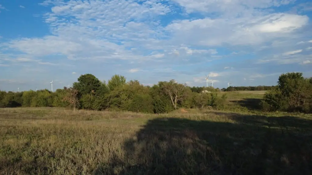 Picture 20