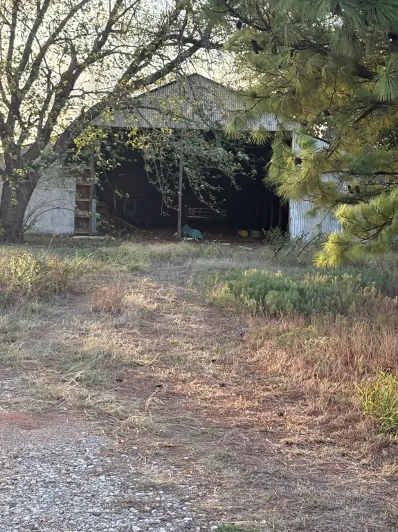 Picture 4