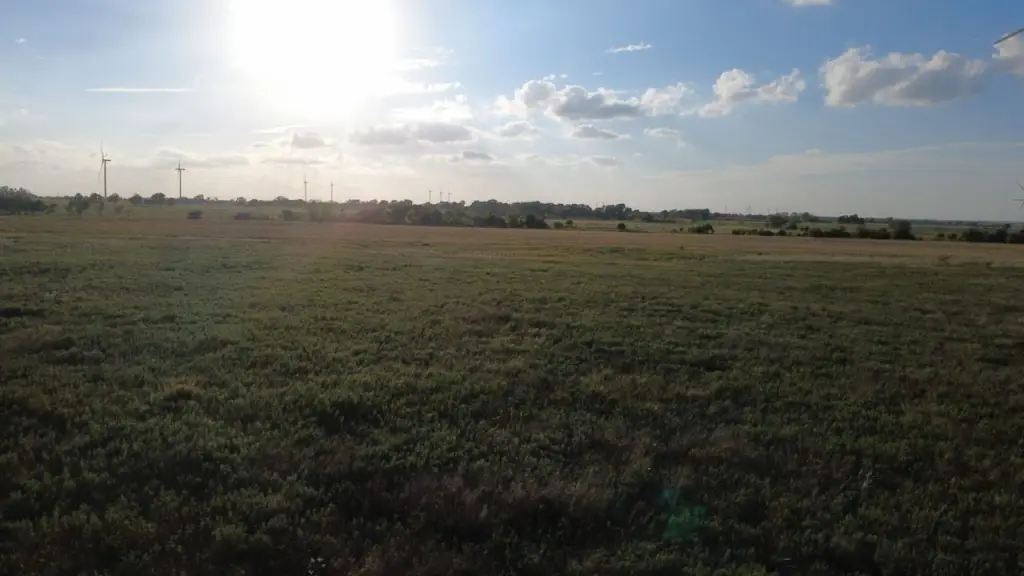 Picture 24
