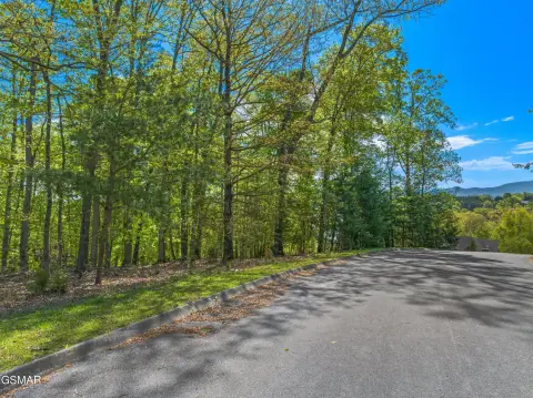 Dandridge, TN Wooded Lot