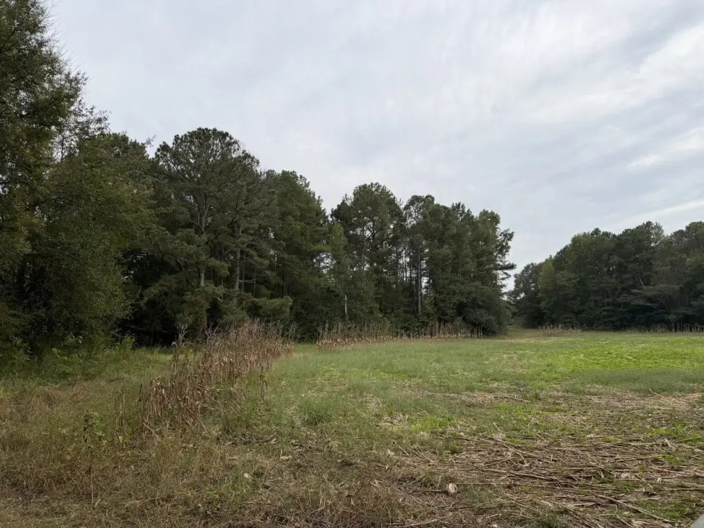 Picture 16