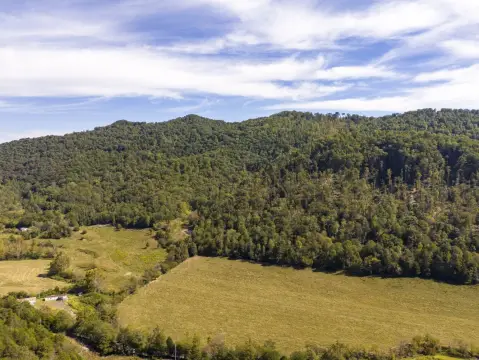 Wooded Hunting Land with Creek
