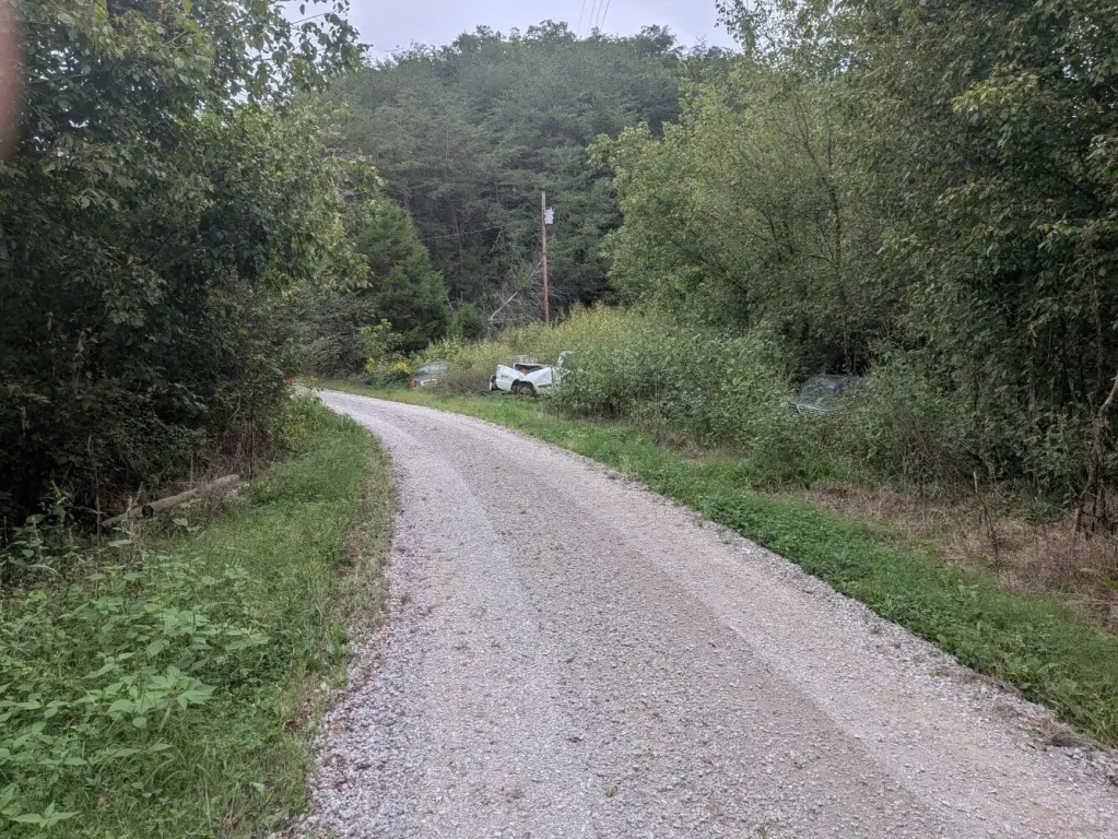 Picture 6