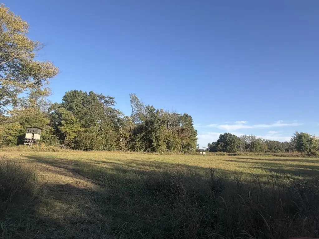 Picture 28