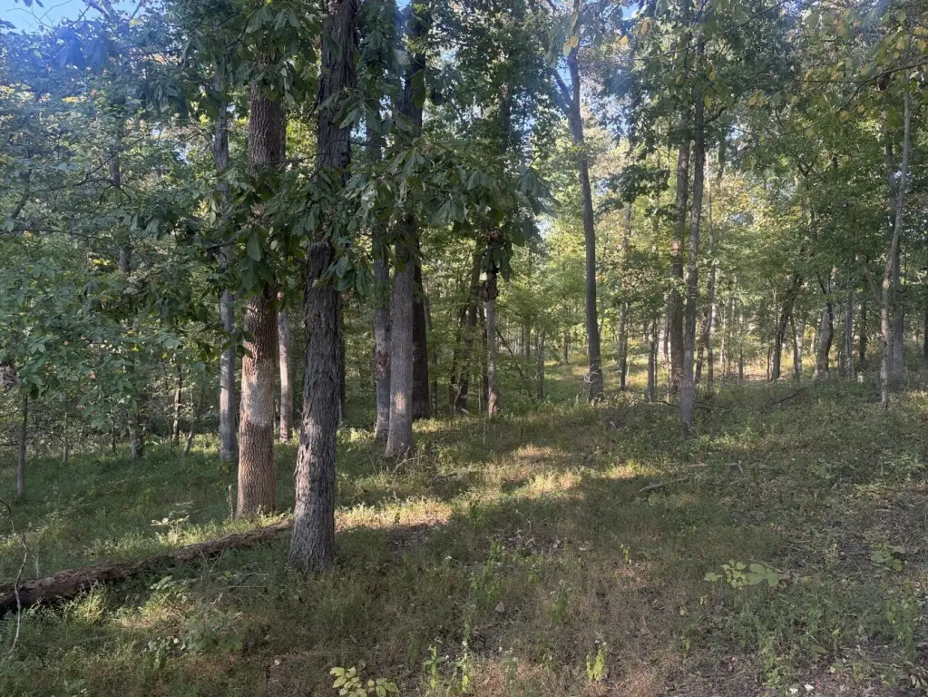 Picture 24