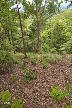 Sevierville Land in Gated Community