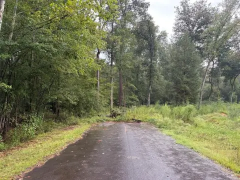 40 Acres Wooded Land, Haughton