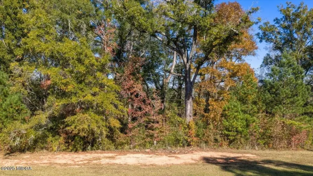 Picture 15