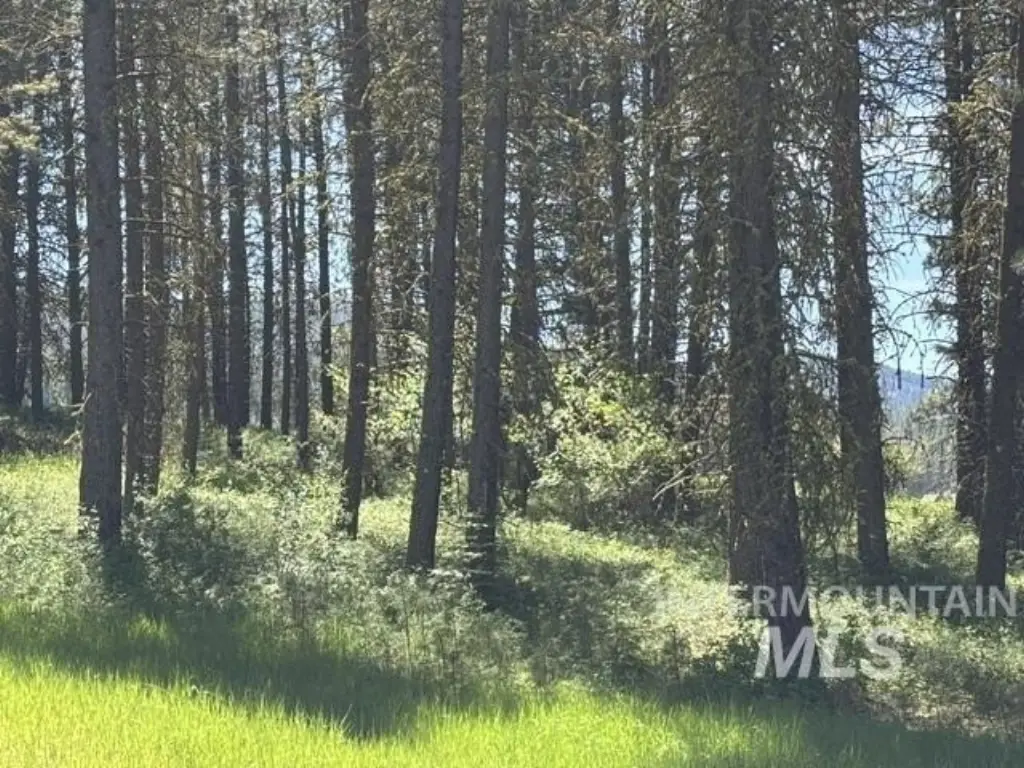 Picture 3
