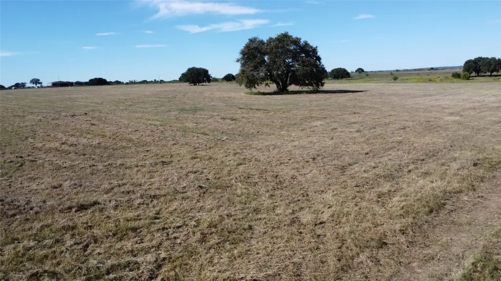 Picture 11