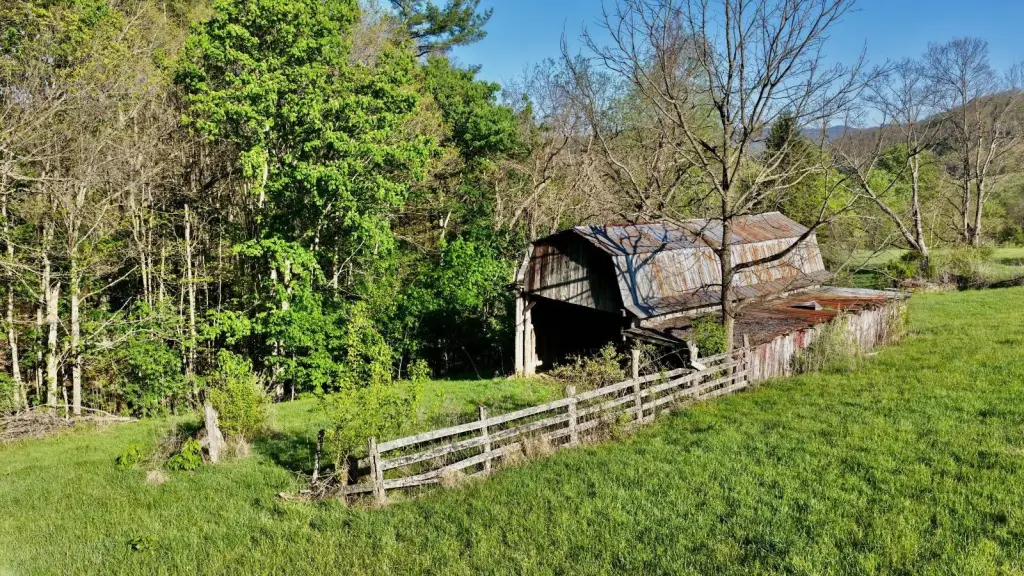 Picture 11