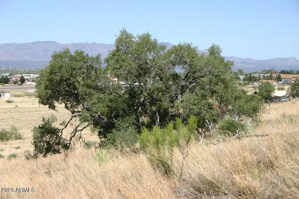 Picture 11