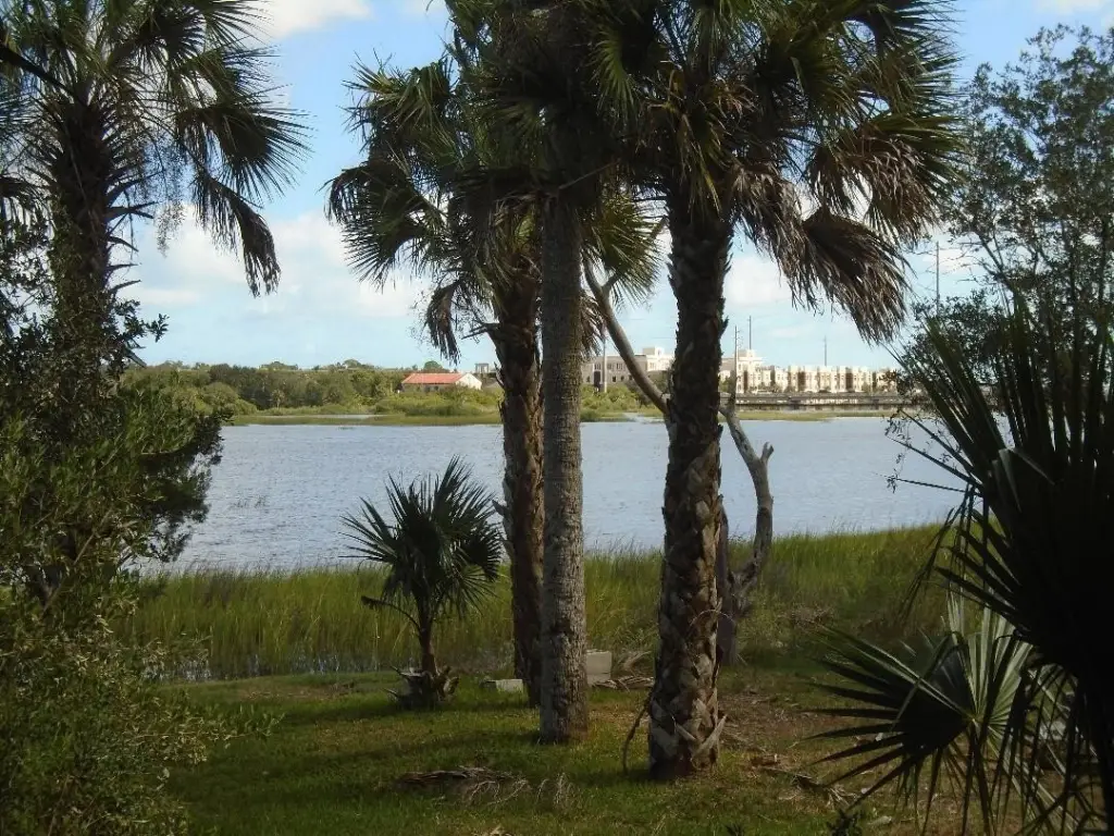 Picture 6