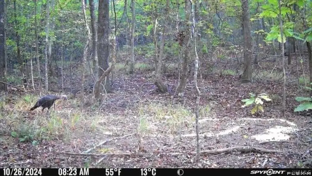 Picture 16