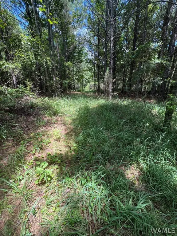Picture 15