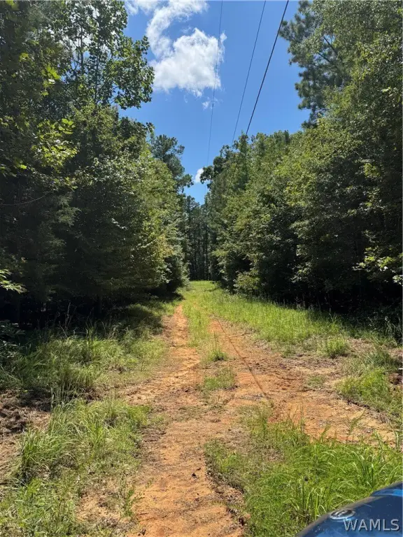 Picture 25