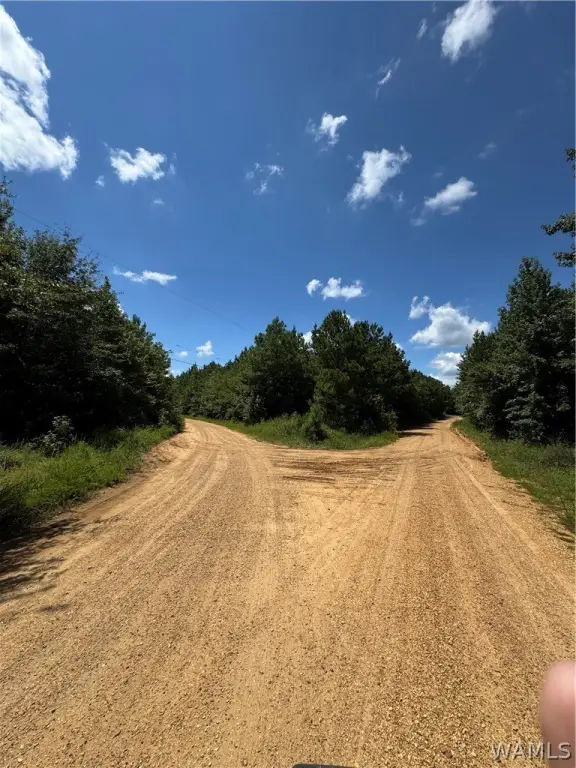 Picture 23