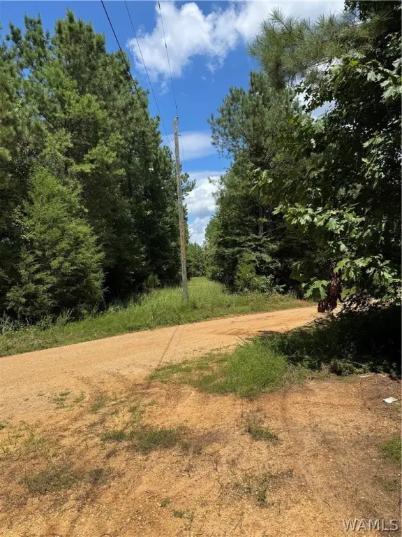 Picture 26
