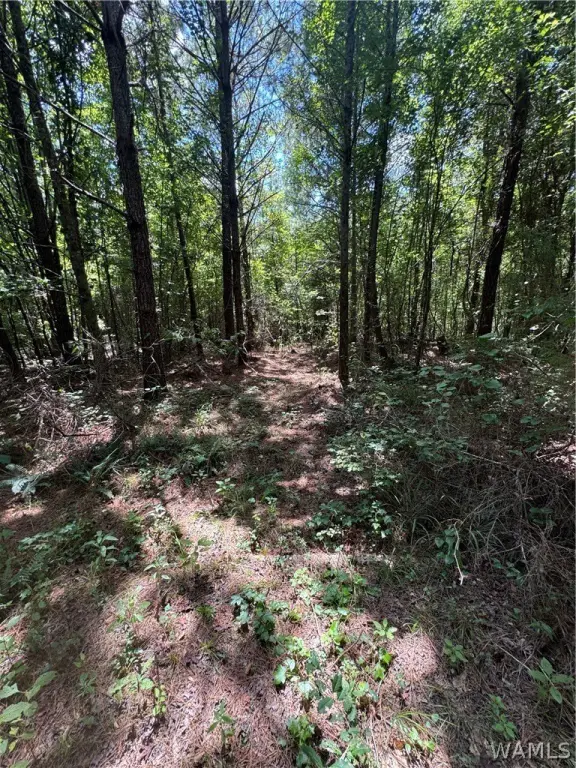 Picture 18