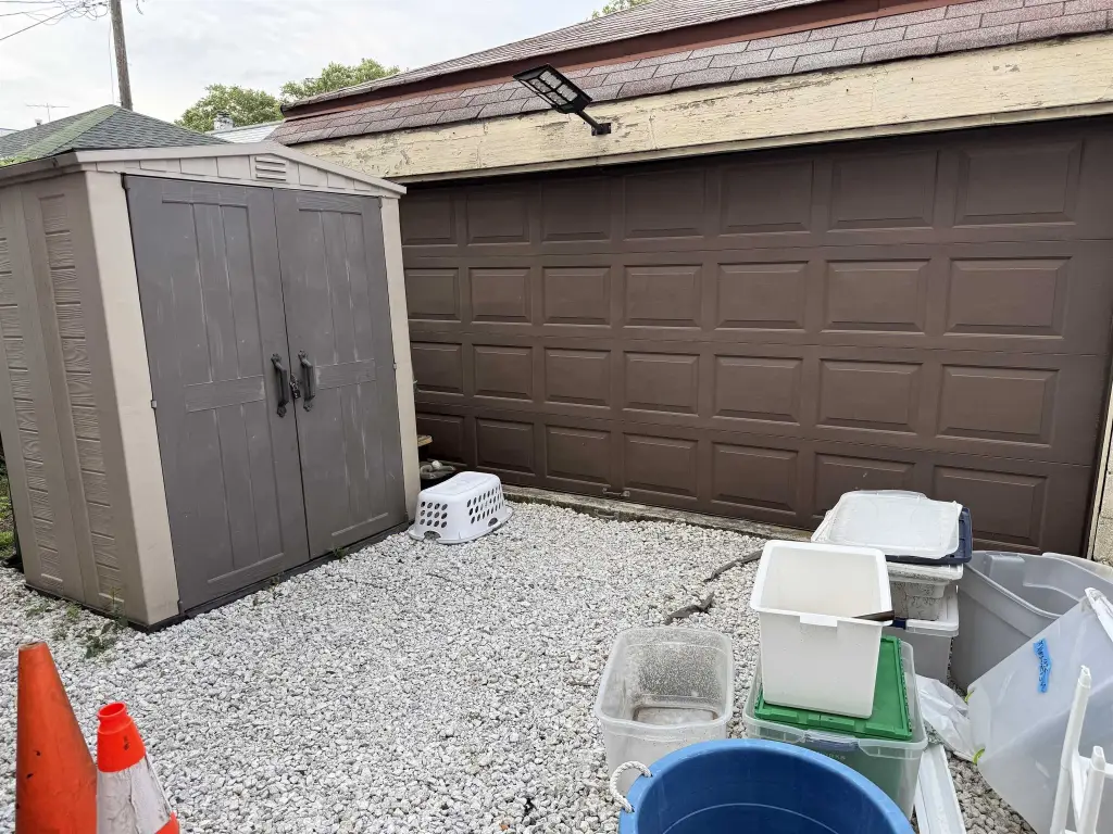 Picture 21