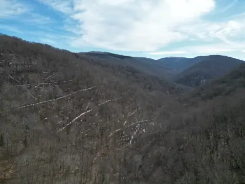 128 Acres in Allegheny Mountains