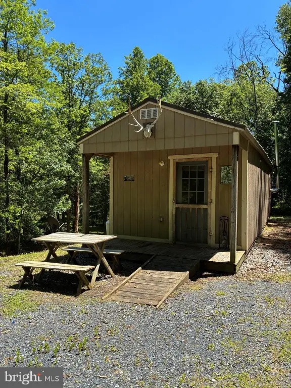 Picture 5