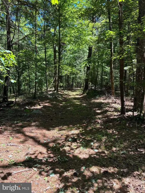 Picture 20